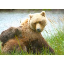 Grizzly Bear Art Blank Greeting Card