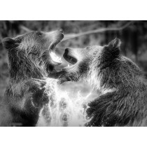 Grizzly Bear Black and White Art Blank Greeting Card