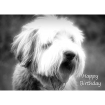 Bearded Collie Black and White Art Birthday Card