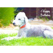 Bedlington Terrier Art Birthday Card