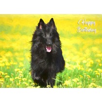 Belgian Shepherd Art Birthday Card