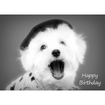 Bichon Frise Black and White Art Birthday Card