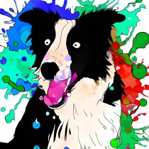 Border Collie Dog Splash Art Cartoon Square Blank Card