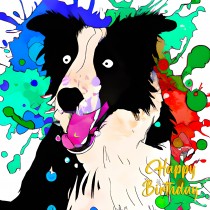 Border Collie Dog Splash Art Cartoon Square Birthday Card