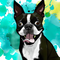 Boston Terrier Dog Splash Art Cartoon Square Blank Card