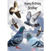 Racing Homing Pigeon Brother Birthday Card