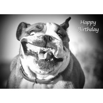 Bulldog Black and White Birthday Card