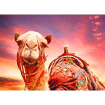 Camel Art Blank Greeting Card
