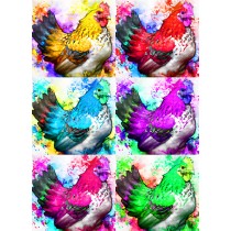 Chicken Colourful Pop Art Blank Greeting Card