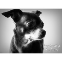Personalised Chihuahua Black and White Art Greeting Card (Birthday, Christmas, Any Occasion)