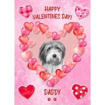 Bearded Collie Dog Valentines Day Card (Happy Valentines, Daddy)