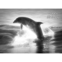 Dolphin Black and White Birthday Card