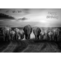 Elephant Black and White Art Birthday Card