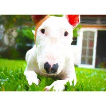 English Bull Terrier Art Blank Greeting Card
