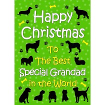 From The Dog  Christmas Card (Special Grandad, Green)