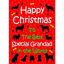 From The Dog  Christmas Card (Special Grandad, Red)