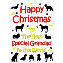 From The Dog  Christmas Card (Special Grandad, White)