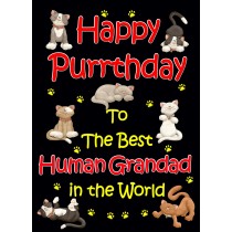 From The Cat Birthday Card (Black, Human Grandad, Happy Purrthday)