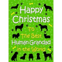 From The Dog  Christmas Card (Human Grandad, Green)