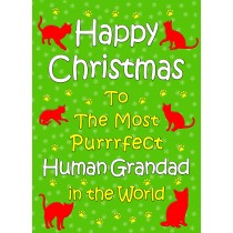 From The Cat Christmas Card (Human Grandad, Green)
