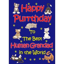 From The Cat Birthday Card (Blue, Human Grandad, Happy Purrthday)