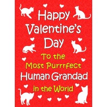 From The Cat Valentines Day Card (Human Grandad)