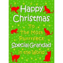 From The Cat Christmas Card (Special Grandad, Green)