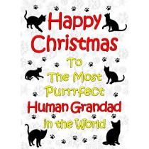 From The Cat Christmas Card (Human Grandad, White)