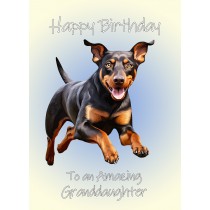 Doberman Dog Birthday Card For Granddaughter