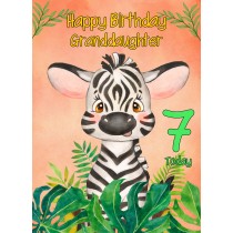 7th Birthday Card for Granddaughter (Zebra)