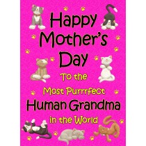 From The Cat Mothers Day Card (Cerise, Purrrfect Human Grandma)