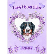 Bernese Mountain Dog Mothers Day Card (Happy Mothers, Grandma)