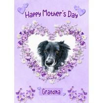 Border Collie Dog Mothers Day Card (Happy Mothers, Grandma)