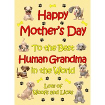 From The Dog Happy Mothers Day Card (Yellow, Human Grandma)