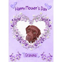 Chocolate Labrador Dog Mothers Day Card (Happy Mothers, Grandma)