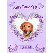 Golden Labrador Dog Mothers Day Card (Happy Mothers, Grandma)