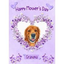 Golden Retriever Dog Mothers Day Card (Happy Mothers, Grandma)