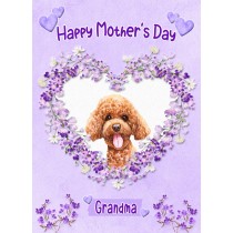 Poodle Dog Mothers Day Card (Happy Mothers, Grandma)