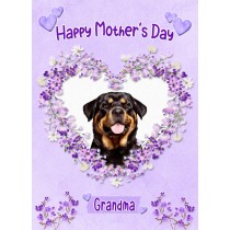 Rottweiler Dog Mothers Day Card (Happy Mothers, Grandma)