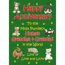 From The Cat Anniversary Card (Purrfect Grandma and Grandad)