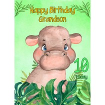 10th Birthday Card for Grandson (Hippo)