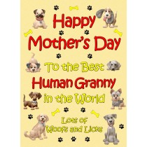 From The Dog Happy Mothers Day Card (Yellow, Human Granny)