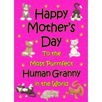 From The Cat Mothers Day Card (Cerise, Purrrfect Human Granny)