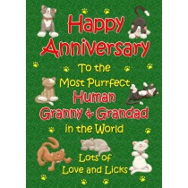 From The Cat Anniversary Card (Purrfect Granny and Grandad)