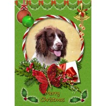 Springer Spaniel christmas card