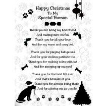 From the Dog Christmas Card (Special Human)