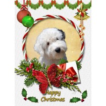 Old English Sheepdog christmas card