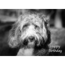 Labradoodle Black and White Art Birthday Card