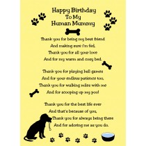 From the Dog Birthday Card (Lemon)