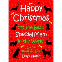 Personalised From The Dog Christmas Card (Special Mam, Red)